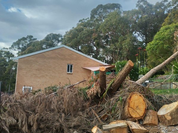 Land Clearing