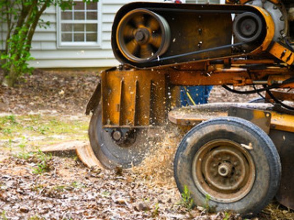 Stump Grinding